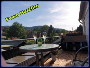 FeWo Harzfire mit Kamin